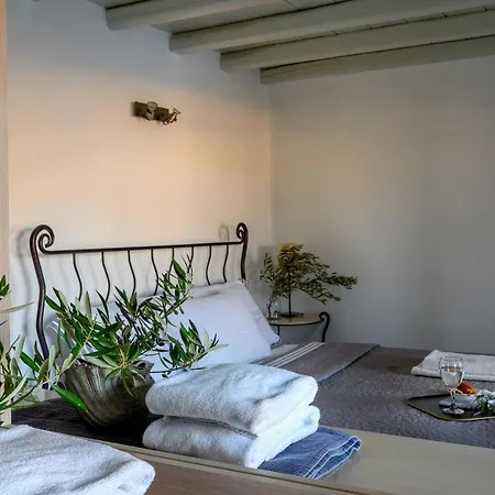 ヴィラ Beyond Beachfront Super Paradise Mykonos Town